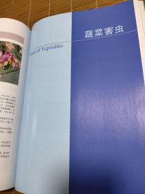 现代蔬菜病虫鉴别与防治手册（全彩版） 南库西架四层