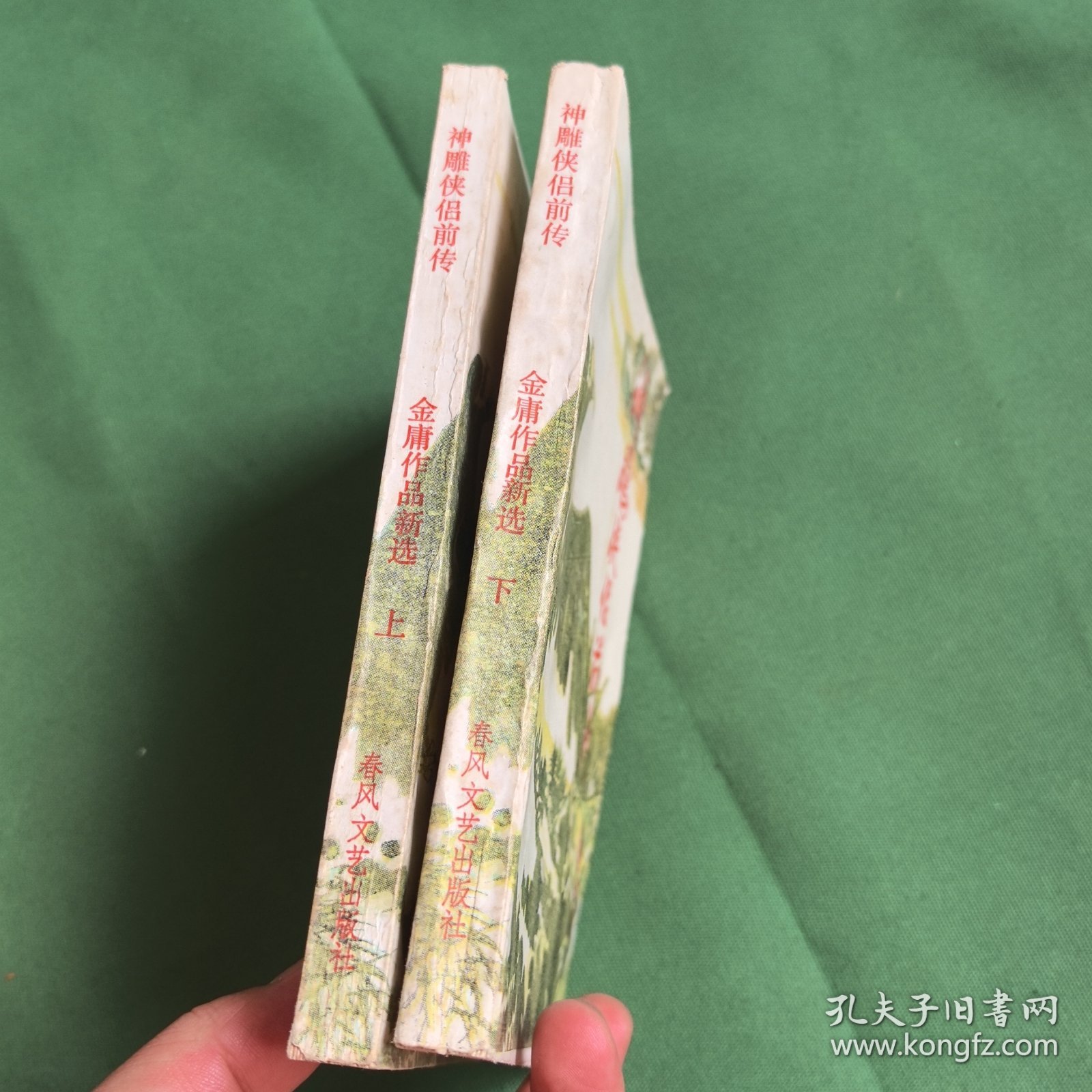 神雕侠侣前传。金庸著作。