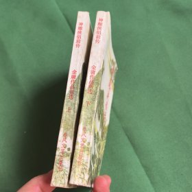 神雕侠侣前传。金庸著作。