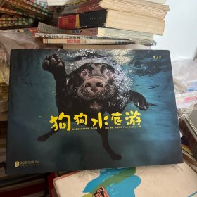 狗狗水底游 宠物狗的游泳摄影集 如何拍摄狗狗的泳姿 狗狗的水中摄影技法欣赏