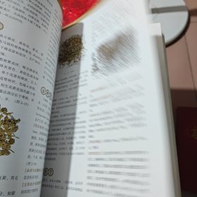 临床常用中草药鉴别与应用