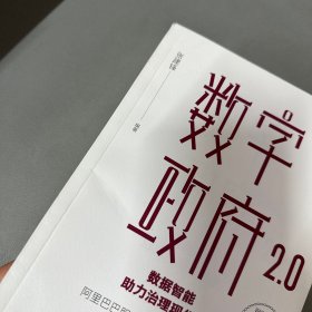 数字政府2.0：数据智能助力治理现代化