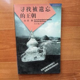 寻找被遗忘的王朝（中国边疆探察丛书）