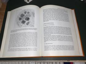 Companion to microbiology（微生物学指南）英