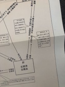 五脏之间主要生理病理关系示意图