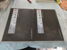 文宪集钦定四库全书荟要16开 全二册 SYY)