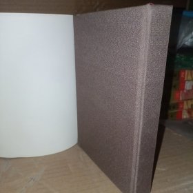 潘天寿研究. (精装)