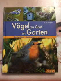Vogel zu Gast im Garten（外文原版 精装）