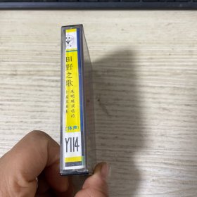 磁带  朱明瑛 田野之歌  附歌词纸  白卡