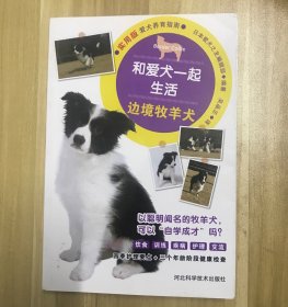 和爱犬一起生活:边境牧羊犬