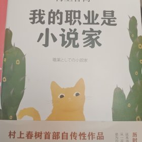 我的职业是小说家