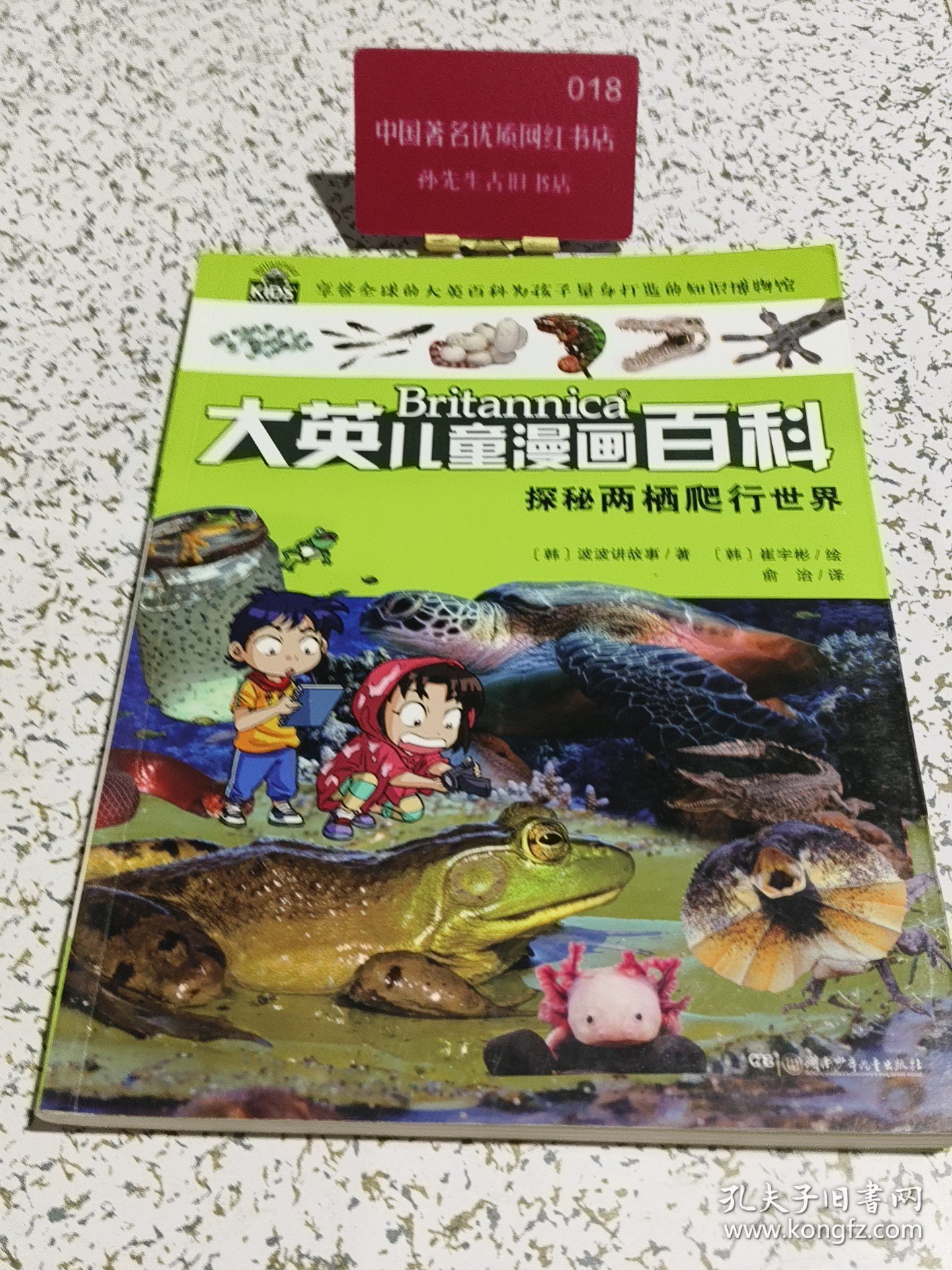 实拍图 大英儿童漫画百科探秘两栖爬行世界