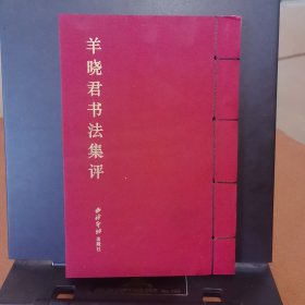 羊晓君书法集评