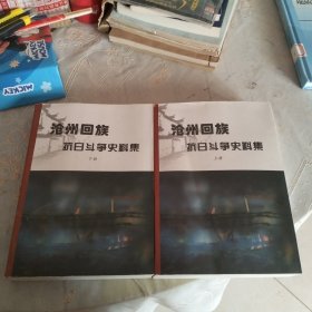 沧州回族抗日斗争史料集 上下册