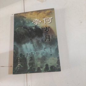 奈何岁月