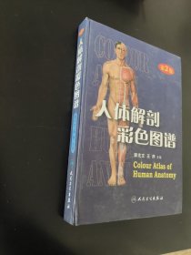 人体解剖彩色图谱