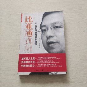 比亚迪真相：中国最新首富背后的秘密