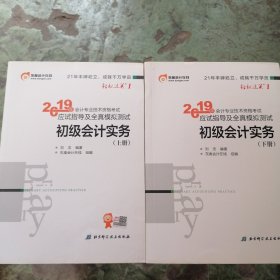初级会计务实〈上下〉