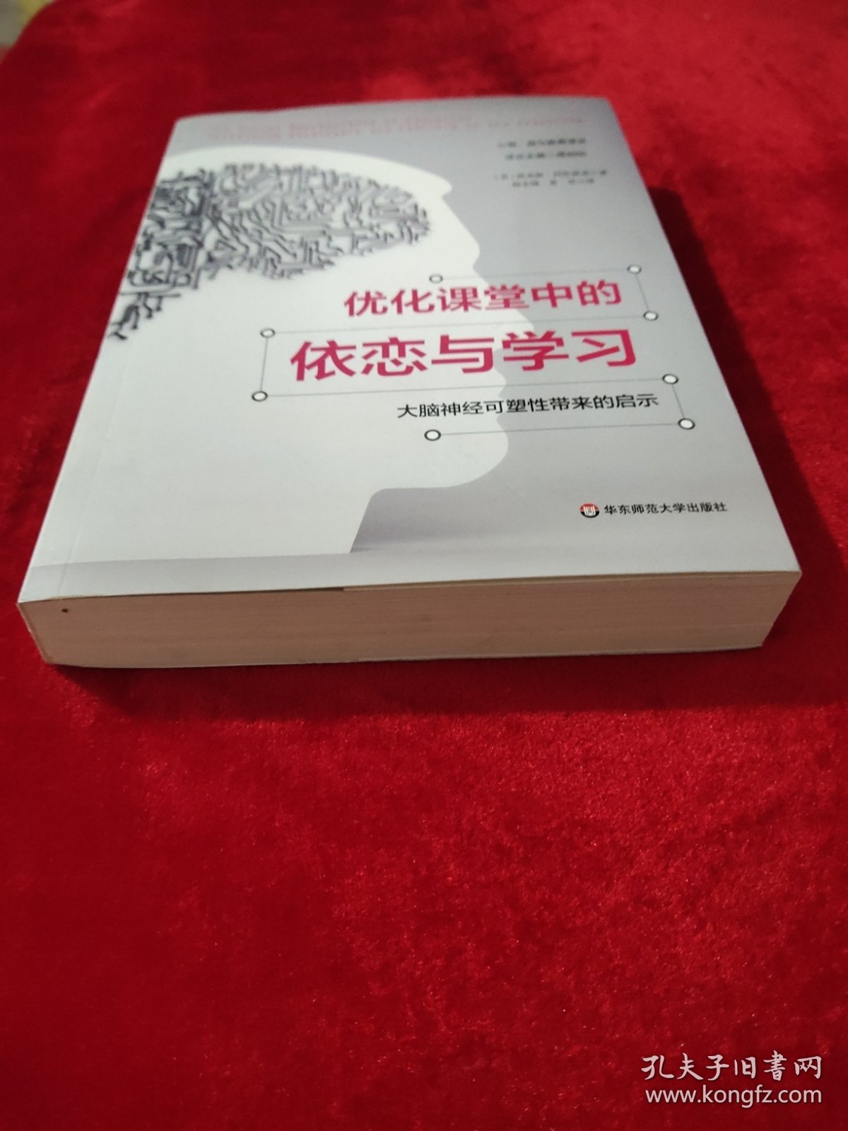 优化课堂中的依恋与学习：大脑神经可塑性带来的启示（心智、脑与教育译丛）