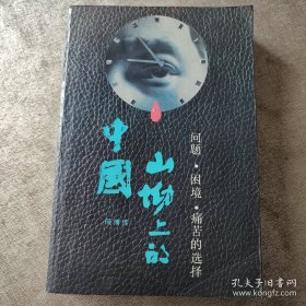 山坳上的中国：问题·困境·痛苦的选择