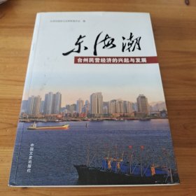 东海潮 : 台州民营经济的兴起与发展