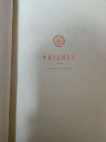 中国大百科全书 语音文字