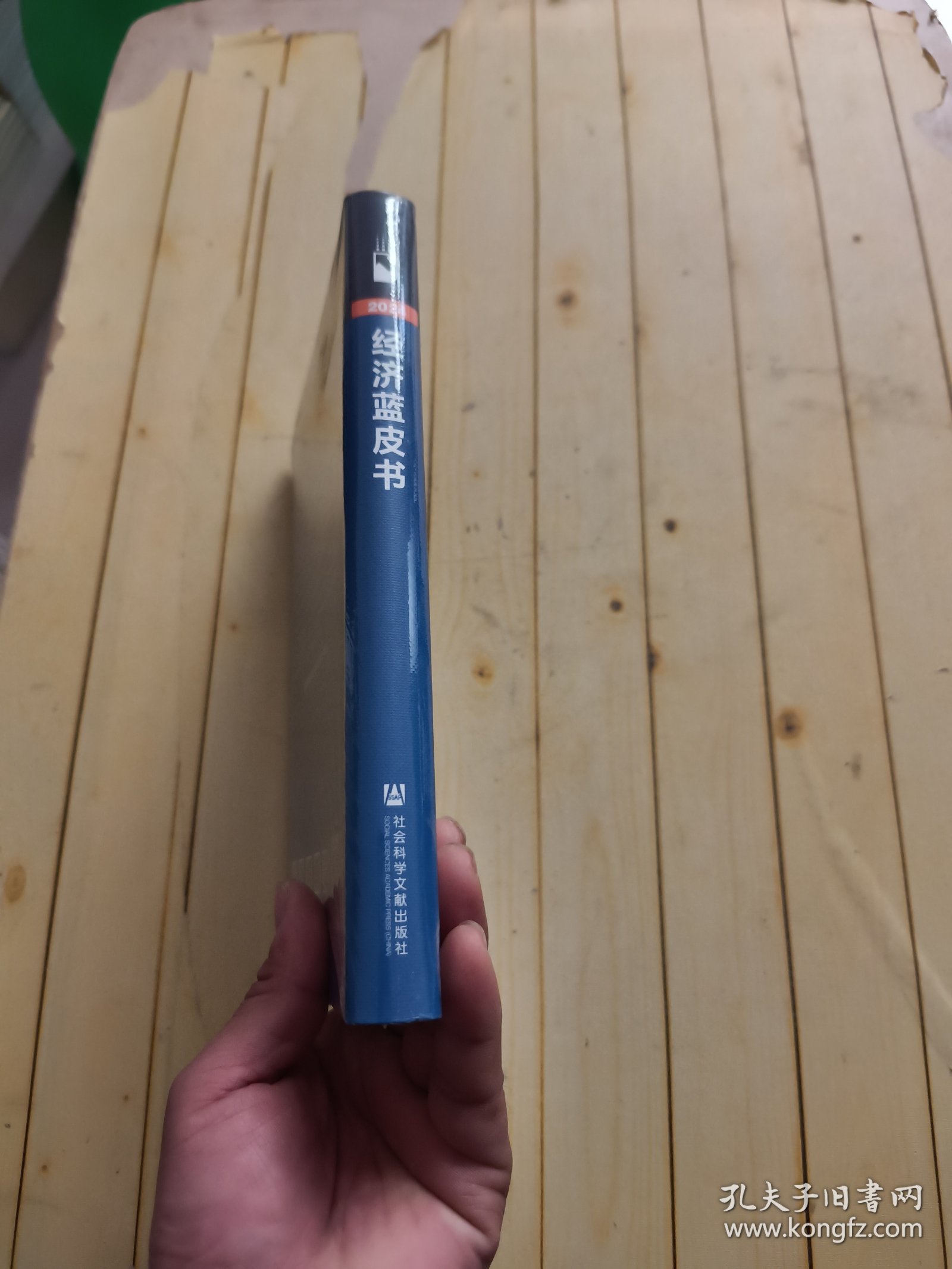 经济蓝皮书：2024年中国经济形势分析与预测