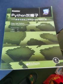 Python灰帽子：黑客与逆向工程师的Python编程之道,