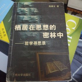 栖居在思想的密林中:哲学寻思录