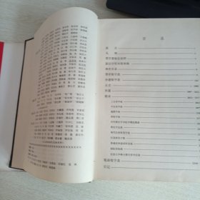 汉语大字典(缩印本)