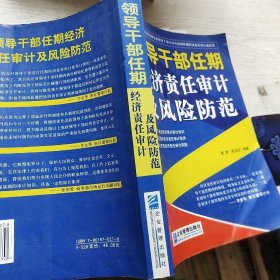 领导干部任期经济责任审计及风险防范