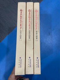 福建非物质文化遗产传承人图典 : 全3册