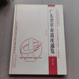 全国革命遗址普查成果丛书：广东省革命遗址通览普宁市（第9册·总第20卷）