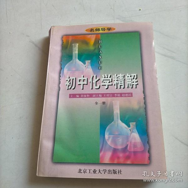 名师导学.初中化学精解