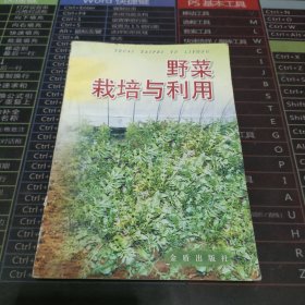 野菜栽培与利用