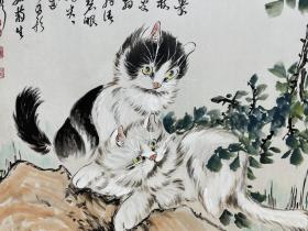 孙菊生 猫咪图