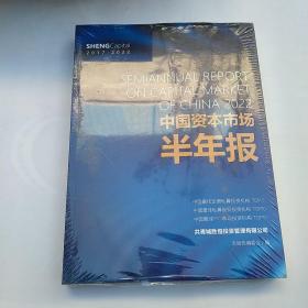 2022中国资本市场半年报