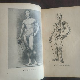 人体造形解剖学