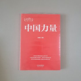 中国力量