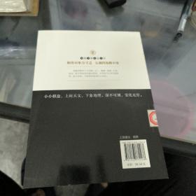 围棋大型搏杀/围棋实战技法丛书
