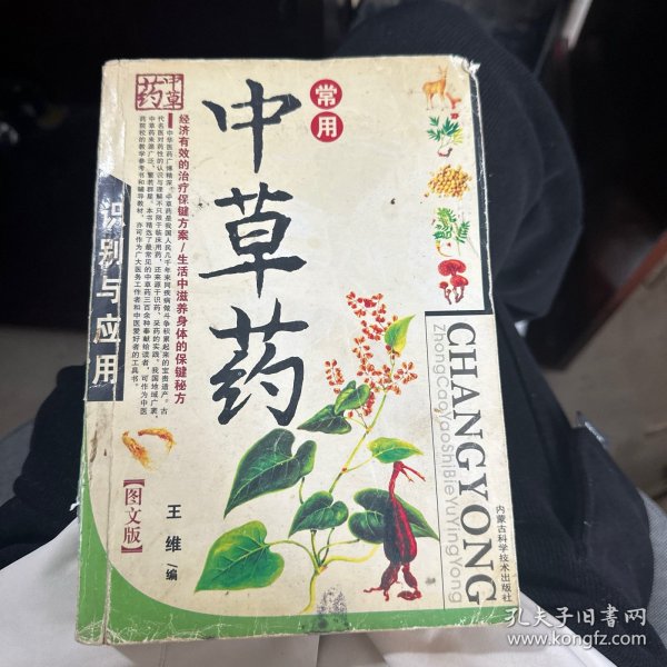 常用中草药识别与应用（图文版）