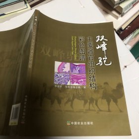 双峰驼 主要器官组织结构彩色图谱 有笔记划线修改