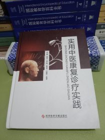 实用中医康复诊疗实践