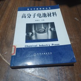 高分子电池材料——高分子新材料丛书