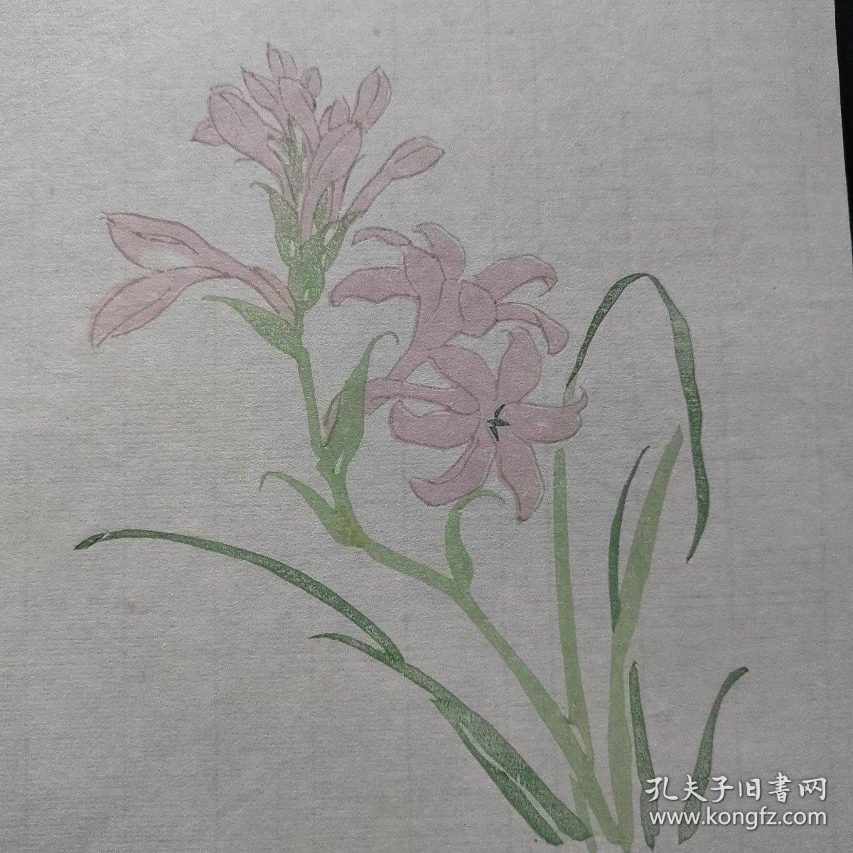 木刻水印 信箋纸 套色印刷 花卉图12