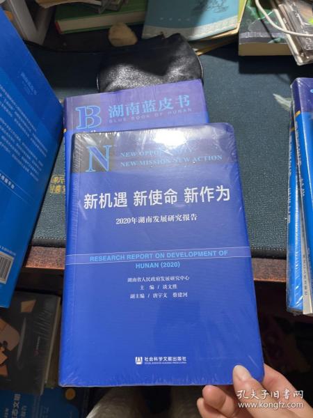 新机遇新使命新作为：2020年湖南发展研究报告