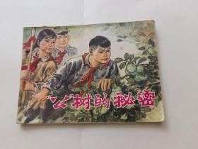 连环画 公树的秘密