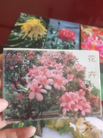 新疆花卉明信片(全8张)