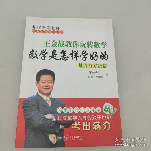 王金战教你玩转数学：数学是怎样学好的（魅力与方法篇）