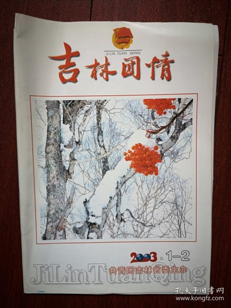 吉林团情2003年第1，2期合刊，关于我省团组织在农村文化建设中发挥作用情况的调查，关于制约我省青年人才发挥作用因素的调查报告，关于长春进城务工青年基本状况的调查报告